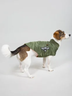 DOG MA-1 NYLON FLIGHT JACKET