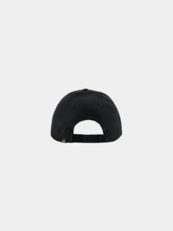 VLC II LOGO CAP